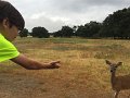Kids_FossilRim_8-2016 (10)